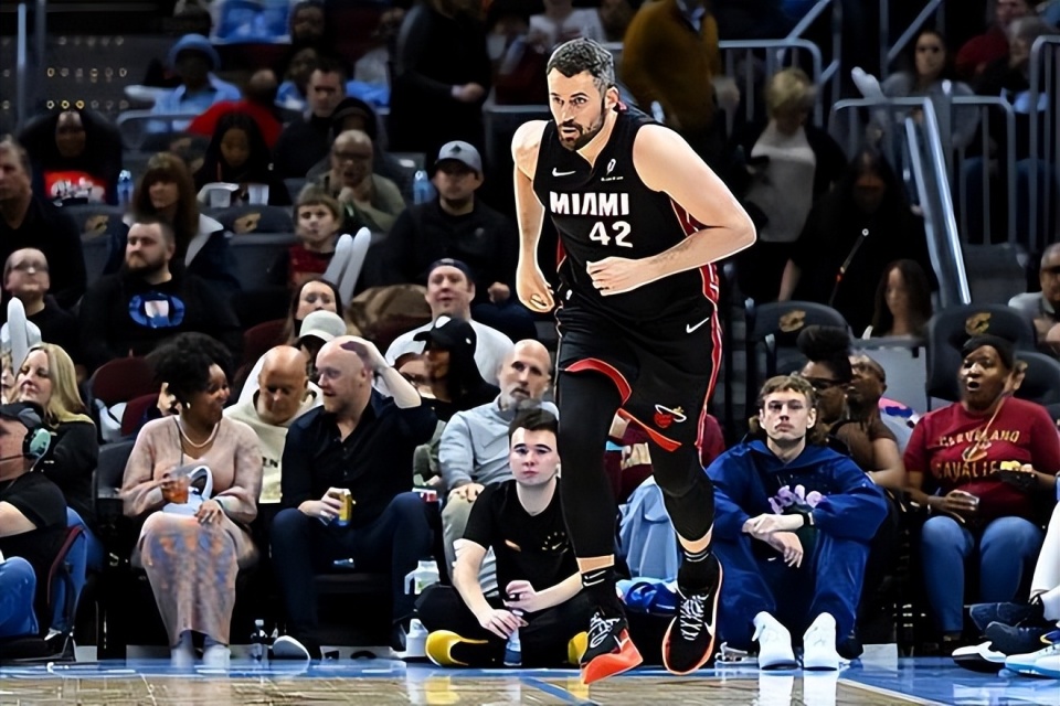 森林狼共事 森林狼共事